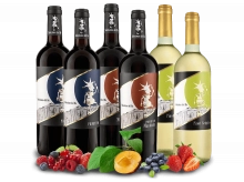ebrosia 49,99 als Wein-Probierpaket Italien