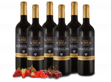 Viñaoliva 29,99 als Wein-Probierpaket Spanien
