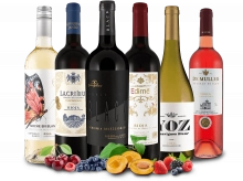 ebrosia 48,90 als Wein-Probierpaket Spanien